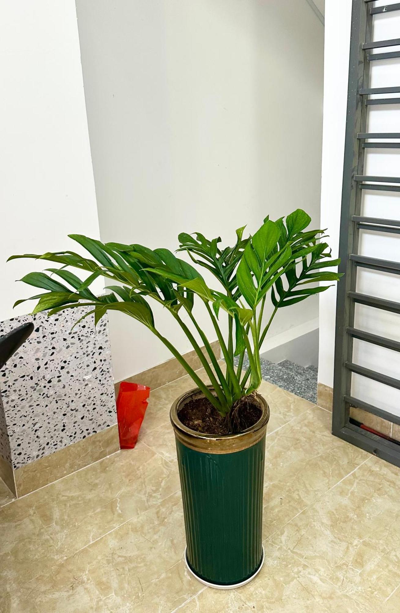 Bed & Breakfast Sweet Homes - Cozy W Kitchen & Netflix TP. Hồ Chí Minh